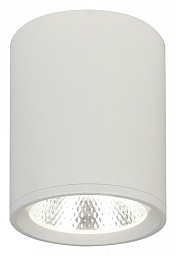 20003SMU/02LED SWH Escada 20003 потолочный светильник цилиндрический