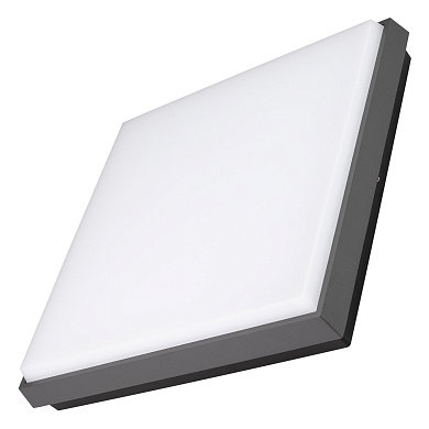 Накладной уличный потолочный светильник Arlight LGD-AREA 25-30 Вт IP54