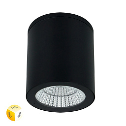 A1313PF-1BK Arte Lamp TORCULAR уличный потолочный светильник