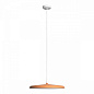 10119 Orange Loft it Plato подвесной светильник, 24Вт, 3000K, 1690лм, оранжевый — фото 4