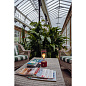 The Muse Tala Портативный светильник красный FB-MUSE-PBL-PR-01 — фото 13