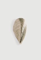 Shown in Nickel (IP44 Rated)