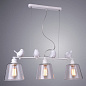 A4289SP-3WH Подвесной светильник Passero Arte Lamp