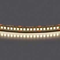 Лента белого свечения 24V Lightstar 421024