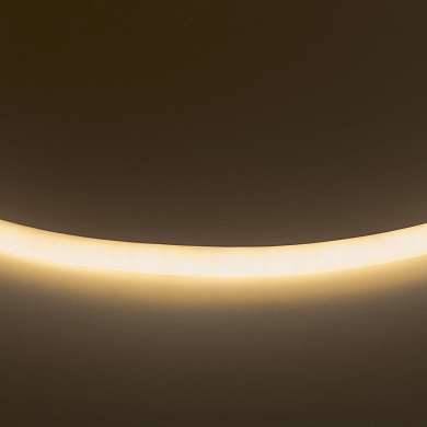 Гибкий неон 220В Neoled 430202 Lightstar