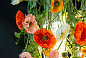 FLOWER POWER NEW POPPY SQUARE Светодиодный потолочный светильник из муранского стекла VGnewtrend — фото 2