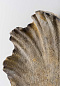 Настенный светильник Scallop Porta Romana TWL52S — фото 2