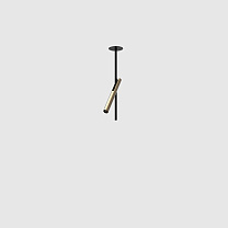 esprit single ceiling, black with brushed gold lamphead