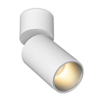 Потолочные светодиодные светильники Led technology SPY N 13.30 W белый + серебристый