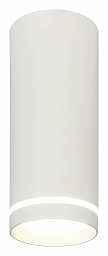 20009SMU/02LED SWH Escada 20009 потолочный светильник с двумя плафонами белый