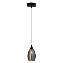 A7951SP-1BK Arte Lamp BARRY подвесной светильник с плафоном в форме колбы