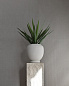 252011 Sunao 101 Copenhagen кашпо, береза — фото 2