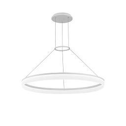 00-0642-BW-M3 Leds C4 Circ подвесной светильник большого диаметра кольцевой формы белого цвета