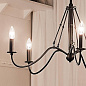 Freesia 5 Light Chandelier Textured Black люстра 52455BKT Kichler