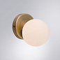 A3989AP-1AB Arte Lamp Bolla-piccolo бра G9 1х25W — фото 1