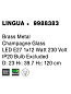 9988383 LINGUA Novaluce светильник LED E27 1x12W 230V IP20