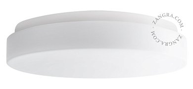Настенно-потолочный светильник Zangra 124 из матового стекла IP44