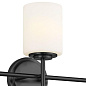 Ali 11.5" 3 Light Vanity Black настенный светильник 55142BK Kichler — фото 7
