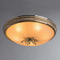 Потолочный светильник Arte Lamp VASSOIO A9205PL-5GO — фото 1
