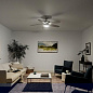 52" Renew Designer Fan Painted Brushed Nickel люстра-вентилятор 330163NI Kichler — фото 1