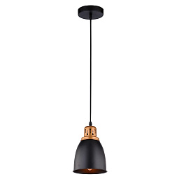 A4248SP-1BK Arte Lamp EURICA подвесной светильник с колоколом черного цвета