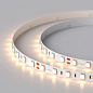 Светодиодная лента Arlight RT-B60-10mm 5060 14,4 Вт/м 10 мм — фото 4