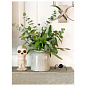 CHD1190 Visual Comfort Cross Bouillotte небольшое двойное настенное бра — фото 4