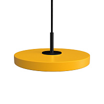 Asteria Micro Saffron Yellow w. Dim - Black Top