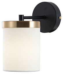 A4099AP-1BK Arte Lamp Modello настенное бра с цилиндрическим плафоном и черным корпусом