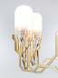 Plant Chandelier подвесной светильник Moooi — фото 4