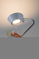 70920 LED Floor luminaire Ramos Внутренние светильники Paulmann — фото 8