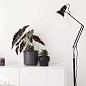 Торшер Anglepoise Original 1227 Черный 31644 — фото 6