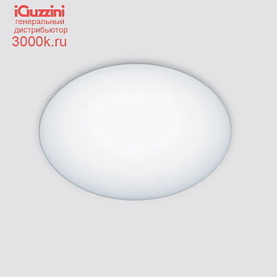 QN52 Bos iGuzzini Surface-mounted luminaire - Neutral white - DALI - diffused light