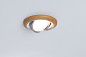 92239 Paulmann Aumus Individual Круглая 84 мм 30° Монета 3x6 Вт 3x470 лм 230 В 2700 К Цвет: промасленный дуб/точеный алюминий — фото 2