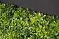BOSSO MIX зеленая стена из искусственных растений, VGnewtrend