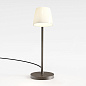 1460001 Imari Desk Astro lighting настольная рабочая лампа бронза — фото 1