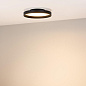054794 Arlight Светильник SP-ESTELY-R350-30W Warm3300-MIX (BK, 80 deg, 230V, TRIAC) — фото 2