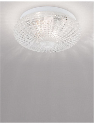 9738255 Nova Luce Clam потолочный светильник для ванной с декоративным орнаментом на стеклянном плафоне