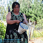 MAPUCHE подвесной светильник Pet Lamp Mapuche_Single B