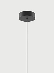 R11L01 2000 Lodes Canopy подвесной светильник с одним плафоном черного цвета