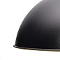 Подвесной светильник Arte Lamp CARMEL A7105SP-1BK — фото 4