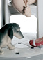 1008524 Lladro Fetch My Shoe фарфоровая фигурка мальчика с ботинком в руке — фото 2