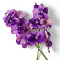 Искусственное растение Vanda Orchids Eichholtz 119286 — фото 2