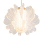 Подвесной светильник Flower Freya FR5579PL-L40BS — фото 3
