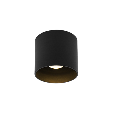 RAY OUTDOOR 1.0 Wever Ducre накладной светильник черный
