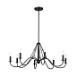 Freesia 8 Light Chandelier Textured Black люстра 52456BKT Kichler