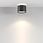 Потолочный светильник Maytoni Pauline 12W Черный C120CL-GX53-B — фото 2