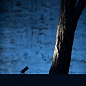 Торшер Davide Groppi Buio - Spot — фото 4