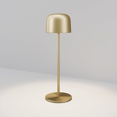 Уличный настольный светильник Maytoni Noble O528TL-L2BSCCT