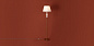 Торшер Lucente Freya FR2064FL-01BS — фото 12